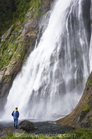 Bowen-Falls;bush;cascade;cascades;coast;coastal;coastline;color;colors;colour;colours;creek;creeks;falls;fiord;Fiordland-National-Park;fiords;fjord;fjords;forest;forests;green;Milford-Sound;moss;mountainside;mountainsides;native-bush;natural;nature;New-Zealand;people;person;scene;scenic;sound;sounds;South-Island;south-west;stream;streams;te-wahipounamu-south_west-new;tourist;tourists;trees;water;water-fall;water-falls;waterfall;waterfalls;wet;world-heritage-area