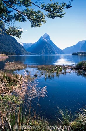 alpine;altitude;beautiful;beauty;beech-tree;beech-trees;bluff;bluffs;calm;calmness;cliff;cliffs;cloud;clouds;coast;coastal;coastline;coastlines;coasts;fiord;fiordland;Fiordland-National-Park;fiords;fjord;fjords;glacial;high-altitude;majestic;middle-earth;Milford-Sound;Mitre-Peak;mount;mountain;mountain-peak;mountainous;mountains;mountainside;mt;mt.;national-park;national-parks;natural;nature;New-Zealand;ocean;peak;peaks;reflection;reflections;scene;scenic;sea;shore;shoreline;shorelines;shores;sky;snow;snow-capped;snow_capped;snowcapped;snowy;sound;sounds;South-Island;south-west;southland;steep;still;stillness;summit;summits;te-wahipounamu;te-wahipounamu-south_west-new;te-wahipounamu-south_west-new;water;world-heirtage-site;world-heritage-area