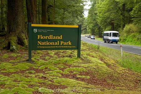beautiful;beauty;Beech-Forest;bend;bends;Bus;buses;bush;coach;coaches;corner;corners;driving;endemic;fiordland;Fiordland-N.P;fiordland-national-park;Fiordland-NP;forest;forests;glade;green;highway;highways;lush;milford-road;moss;mosses;n.z.;national-park;National-parks;native;native-bush;natives;natural;nature;new-zealand;Nothofagus;nz;open-road;open-roads;rain-forest;rain-forests;rain_forest;rain_forests;rainforest;rainforests;road;road-trip;roads;S.I.;scene;scenic;SI;sign;signs;South-Island;South-West-New-Zealand-World-Her;southern-beeches;Southland;te-wahipounamu;te-wahipounamu-south_west-new;timber;tour-bus;tour-buses;tour-coach;tour-coaches;touring;tourism;tourist;tourist-bus;tourist-buses;tourist-coach;tourist-coaches;tourists;transport;transportation;travel;traveling;travelling;tree;tree-trunk;tree-trunks;trees;trip;trunk;trunks;verdant;wood;woods;world-heirtage-site;world-heritage-area