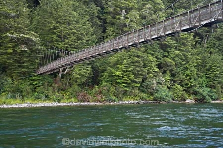beautiful;beauty;Beech-Forest;bridge;bridges;bush;endemic;fiordland;Fiordland-N.P;fiordland-national-park;Fiordland-NP;foot-bridge;foot-bridges;footbridge;footbridges;forest;forests;great-walks;green;high;hiking;hiking-track;hiking-tracks;Kepler-Track;n.z.;national-park;National-parks;native;native-bush;natives;natural;nature;new-zealand;Nothofagus;nz;pedestrian-bridge;pedestrian-bridges;rain-forest;rain-forests;rain_forest;rain_forests;rainforest;rainforests;river;rivers;S.I.;scene;scenic;SI;South-Island;South-West-New-Zealand-World-Her;southern-beeches;Southland;suspension-bridge;suspension-bridges;swing-bridge;swing-bridges;te-wahipounamu;te-wahipounamu-south_west-new;track;tracks;tramping;tramping-track;tree;trees;trek;treking;trekking;Waiau-River;walking;walking-track;walking-tracks;wire-bridge;wire-bridges;wood;woods;world-heirtage-site;world-heritage-area