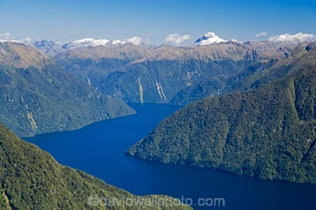 aerial;aerial-photo;aerial-photography;aerial-photos;aerial-view;aerial-views;aerials;air-to-air;alp;alpine;alps;altitude;beautiful;beauty;Beech-Forest;bush;endemic;Fiordland;Fiordland-N.P;Fiordland-National-Park;Fiordland-NP;forest;forests;green;high-altitude;lake;Lake-Te-Anau;lakes;mount;mountain;mountainous;mountains;mountainside;mt;mt.;N.Z.;national-park;national-parks;native;native-bush;natives;natural;nature;New-Zealand;Nothofagus;NZ;rain-forest;rain-forests;rain_forest;rain_forests;rainforest;rainforests;range;ranges;S.I.;scene;scenic;SI;South-Fiord;South-Island;south-west-new-zealand-world-heritage-area;southern-beeches;Southland;te-wahi-pounamu;te-wahipounamu;te-wahipounamu-south_west-new-zealand-world-heritage-area;timber;tree;trees;water;wood;woods;world-heirtage-site;world-heirtage-sites;world-heritage-area;world-heritage-areas