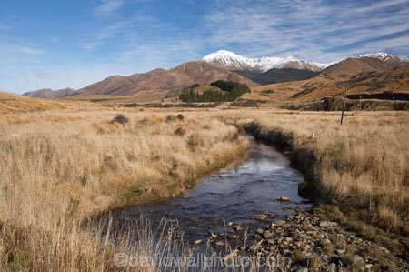 agricultural;agriculture;brook;brooks;country;countryside;creek;creeks;farm;farming;farmland;farms;field;fields;flow;Hamilton-Creek;meadow;meadows;Mossburn;Mount-Hamilton;Mt-Hamilton;Mt.-Hamilton;N.Z.;New-Zealand;NZ;paddock;paddocks;pasture;pastures;rural;S.I.;SI;South-Is.;South-Island;Southland;stream;streams;Takitimu-Mountains;water;wet