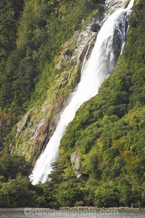 bowen;Bowen-Falls;cascade;cascades;coast;coastal;coastline;creek;creeks;falls;fiord;fiordland;Fiordland-N.P;Fiordland-National-Park;Fiordland-NP;Fiords;Fjord;Fjords;foreshore;island;kb1a5277;milford;milford-sound;N.Z.;national;national-park;National-parks;natural;nature;new;new-zealand;NZ;park;people;person;S.I.;scene;scenic;shore;shoreline;SI;sound;sounds;south;South-Is.;South-Island;south-west;south-west-new-zealand-world-her;Southland;stream;streams;te-wahipounamu;te-wahipounamu-south_west-new;water;water-fall;water-falls;waterfall;waterfalls;wet;World-Heritage-Area;World-Heritage-Site;zealand