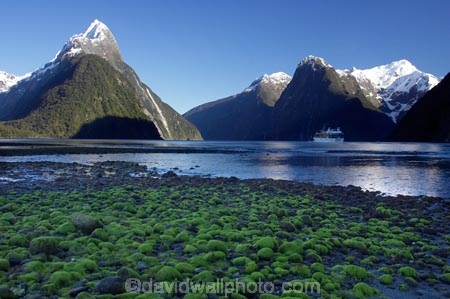 calm;coast;coastal;coastline;fiord;fiordland;Fiordland-N.P;Fiordland-National-Park;Fiordland-NP;Fiords;Fjord;Fjords;island;kb1a5490;milford;milford-sound;mitre;mitre-peak;mountain;mountain-peak;mountains;N.Z.;national;national-park;National-parks;new;new-zealand;NZ;park;peak;peaks;placid;Quiet;reflection;reflections;S.I.;serene;SI;smooth;snow;snow-capped;snow_capped;snowcapped;sound;sounds;south;South-Is.;South-Island;south-west-new-zealand-world-her;Southland;still;summit;summits;te-wahipounamu;te-wahipounamu-south_west-new;tranquil;water;World-Heritage-Area;World-Heritage-Site;zealand