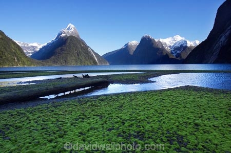 coast;coastal;coastline;fiord;fiordland;Fiordland-N.P;Fiordland-National-Park;Fiordland-NP;Fiords;Fjord;Fjords;island;kb1a5545;milford;milford-sound;mitre;mitre-peak;N.Z.;national;national-park;National-parks;new;new-zealand;NZ;park;peak;peaks;S.I.;SI;sound;sounds;south;South-Is.;South-Island;south-west-new-zealand-world-her;Southland;summit;summits;te-wahipounamu;te-wahipounamu-south_west-new;World-Heritage-Area;World-Heritage-Site;zealand