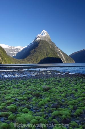 coast;coastal;coastline;fiord;fiordland;Fiordland-N.P;Fiordland-National-Park;Fiordland-NP;Fiords;Fjord;Fjords;island;kb1a5493;milford;milford-sound;mitre;mitre-peak;mountain;mountain-peak;mountains;N.Z.;national;national-park;National-parks;new;new-zealand;NZ;park;peak;peaks;S.I.;SI;snow;snow-capped;snow_capped;snowcapped;sound;sounds;south;South-Is.;South-Island;south-west-new-zealand-world-her;Southland;summit;summits;te-wahipounamu;te-wahipounamu-south_west-new;World-Heritage-Area;World-Heritage-Site;zealand