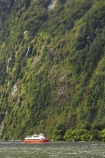 boat;boats;bush;coast;coastal;coastline;color;colors;colour;colours;cruise;cruises;fiord;fiordland-national-park;fiords;fjord;fjords;forest;forests;grandeur;green;launch;launches;majestic;majesty;Milford-Sound;moss;mountainside;mountainsides;native-bush;natural;nature;New-Zealand;red-boat;red-boats;scene;scenery;scenic;sound;sounds;South-Island;south-west;te-wahipounamu-south_west-new;te-waihipounamusouth-west-new;tour-boat;tour-boats;tourism;tourist;tourist-boat;tourist-boats;tourists;trees;water;world-heritage-area
