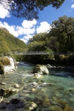 alive;beautiful;beauty;beech;bridge;bridges;brook;brooks;bubbling;bush;creek;creeks;dripping;fern;ferns;fiordland;fiordland-national-park;flora;foot-bridge;foot-bridges;forest;forestry;forests;green;hike;hiker;hikers;hikes;hiking;hollyford-river;hollyford-valley;lake-marian;lake-marion;lower-hollyford-valley;lush;majestic;middle-earth;moss;mosses;natural;nature;new-zealand;pedestrian-bridge;pedestrian-bridges;rain-forest;rain-forests;rain_forest;rain_forests;rainforest;rainsforests;river;rivers;rope-bridge;rope-bridges;scene;scenic;south-island;south-west;southland;stream;streams;suspension-bridge;suspension-bridges;swing-bridge;te-wahipounamu-south_west-new;track;tramp;tramper;trampers;tramping;tramps;trekker;trekkers;verdant;walk;walker;walkers;walking;walks;water;wire-bridge;wire-bridges;world-heritage-area;world-heritage-site