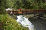 bad-weather;beautiful;beauty;Beech-Forest;bridge;bridges;brook;brooks;bush;creek;creeks;endemic;fiordland;Fiordland-N.P;fiordland-national-park;flow;foot-bridge;foot-bridges;footbridge;footbridges;forest;forests;green;hiking-track;hiking-tracks;holiday;holidaying;Holidays;milford-road;n.z.;national-park;National-parks;native;native-bush;natives;natural;nature;new-zealand;Nothofagus;nz;pedestrian-bridge;pedestrian-bridges;rain;rain-forest;rain-forests;rain_forest;rain_forests;rainforest;rainforests;raining;rainy;rapids;S.I.;scene;scenic;SI;South-Island;South-West-New-Zealand-World-Her;southern-beeches;Southland;stream;streams;te-wahipounamu;te-wahipounamu-south_west-new;The-Chasm;tourism;tourist;tourists;track;tracks;travel;traveler;traveling;traveller;travelling;tree;trees;Vacation;Vacationers;vacationing;Vacations;walking-track;walking-tracks;water;waterfall;waterfalls;wet;white-water;Whitewater;wood;woods;world-heirtage-site;world-heritage-area