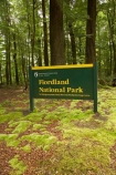 beautiful;beauty;Beech-Forest;bush;endemic;fiordland;Fiordland-N.P;fiordland-national-park;Fiordland-NP;forest;forests;glade;green;lush;milford-road;moss;mosses;n.z.;national-park;National-parks;native;native-bush;natives;natural;nature;new-zealand;Nothofagus;nz;rain-forest;rain-forests;rain_forest;rain_forests;rainforest;rainforests;S.I.;scene;scenic;SI;sign;signs;South-Island;South-West-New-Zealand-World-Her;southern-beeches;Southland;te-wahipounamu;te-wahipounamu-south_west-new;timber;tree;tree-trunk;tree-trunks;trees;trunk;trunks;verdant;wood;woods;world-heirtage-site;world-heritage-area