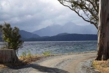 Bluegum-Point;Fiordland;lake;Lake-Te-Anau;lakes;N.Z.;New-Zealand;NZ;S.I.;SI;South-Island;Southland;Te-Anau
