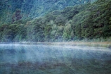 beautiful;beauty;Beech-Forest;bush;calm;coast;coastal;coastline;endemic;fiordland;Fiordland-N.P;Fiordland-National-Park;Fiordland-NP;foreshore;forest;forests;green;island;Milford-Sound;mist;mists;misty;N.Z.;national-park;National-parks;native;native-bush;natives;natural;nature;new;new-zealand;Nothofagus;NZ;o8l9641;placid;Quiet;rain-forest;rain-forests;rain_forest;rain_forests;rainforest;rainforests;reflection;reflections;S.I.;scene;scenic;serene;shore;shoreline;SI;smooth;south;South-Is.;South-Island;south-west-new-zealand-world-her;southern-beeches;Southland;still;te-wahipounamu;te-wahipounamu-south_west-new;timber;tranquil;tree;trees;water;wood;woods;World-Heritage-Area;World-Heritage-Site;zealand