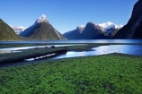 coast;coastal;coastline;fiord;fiordland;Fiordland-N.P;Fiordland-National-Park;Fiordland-NP;Fiords;Fjord;Fjords;island;kb1a5545;milford;milford-sound;mitre;mitre-peak;N.Z.;national;national-park;National-parks;new;new-zealand;NZ;park;peak;peaks;S.I.;SI;sound;sounds;south;South-Is.;South-Island;south-west-new-zealand-world-her;Southland;summit;summits;te-wahipounamu;te-wahipounamu-south_west-new;World-Heritage-Area;World-Heritage-Site;zealand