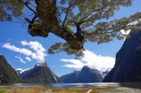coast;coastal;coastline;fiord;fiordland;Fiordland-N.P;Fiordland-National-Park;Fiordland-NP;Fiords;Fjord;Fjords;island;kb1a5893;milford;milford-sound;mitre;mitre-peak;N.Z.;national;national-park;National-parks;new;new-zealand;NZ;park;peak;peaks;S.I.;SI;sound;sounds;south;South-Is.;South-Island;south-west-new-zealand-world-her;Southland;summit;summits;te-wahipounamu;te-wahipounamu-south_west-new;World-Heritage-Area;World-Heritage-Site;zealand