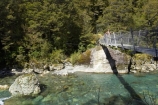 beech;bridge;bridges;brook;brooks;bubbling;bush;clean;clean-water;clear;clear-water;creek;creeks;fern;ferns;fiordland;Fiordland-N.P;Fiordland-National-Park;Fiordland-NP;flora;flow;foot-bridge;foot-bridges;footbridge;footbridges;forest;forestry;forests;green;hike;hiker;hikers;hikes;hiking;hiking-track;hiking-tracks;Hollyford-River;Hollyford-Valley;island;kb1a5940;lush;majestic;middle-earth;N.Z.;national-park;National-parks;native-bush;native-forest;natural;nature;new;new-zealand;NZ;outdoor;outdoors;pedestrian-bridge;pedestrian-bridges;pristine;rain-forest;rain-forests;rain_forest;rain_forests;rainforest;rainsforests;river;rivers;S.I.;scene;scenic;SI;south;South-Is.;South-Island;south-west;south-west-new-zealand-world-her;Southland;stream;streams;suspension-bridge;suspension-bridges;swing-bridge;swing-bridges;te-wahipounamu;te-wahipounamu-south_west-new;te-wahipounamu-south_west-new-zealand;track;Track-to-Lake-Marian;tracks;tramp;tramper;trampers;tramping;tramping-tack;tramping-tacks;tramps;trek;treker;trekers;treking;trekker;trekkers;trekking;undergrowth;verdant;walk;walker;walkers;walking;walking-track;walking-tracks;walks;water;watercourse;wet;wire-bridge;wire-bridges;world-heritage-area;World-Heritage-Site;zealand