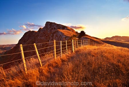agriculture;countryside;fence;fenceline;field;fields;grass;meadow;meadows;pastoral;rural;wire;wires