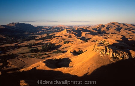 heights;views;scenic;golden;landscape;landscapes;hills;hilly,scenary;gold;tussock-country;countryside;vista