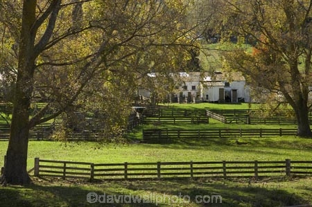 agricultural;agriculture;autuminal;autumn;autumn-colour;autumn-colours;autumnal;color;colors;colour;colours;country;countryside;deciduous;fall;farm;Farm-Building;Farm-Buildings;Farm-Shed;Farm-Sheds;farming;farmland;farms;fence;fence-line;fence-lines;fence_line;fence_lines;fenceline;fencelines;fences;field;fields;Hawkes-Bay;meadow;meadows;N.I.;N.Z.;Napier;New-Zealand;Newstead;NI;North-Island;NZ;paddock;paddocks;pasture;pastures;rural;season;seasonal;seasons;Shearing-Shed;Shearing-Sheds;Sheep-Shed;Sheep-Sheds;stock-yard;stock-yards;stockyard;stockyards;tree;trees;Wool-Shed;Wool-Sheds;Woolshed
