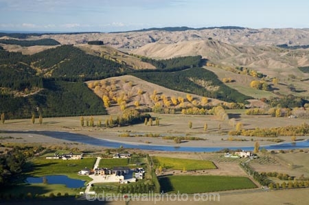 agricultural;agriculture;autuminal;autumn;autumn-colour;autumn-colours;autumnal;color;colors;colour;colours;country;countryside;Craggy-Range-Vineyard;Craggy-Range-Winery;crop;crops;cultivation;deciduous;fall;farm;farming;farmland;farms;field;fields;grape;grapes;grapevine;Hawkes-Bay;hill;hills;horticulture;N.I.;N.Z.;New-Zealand;NI;North-Island;NZ;poplar;poplar-tree;poplar-trees;poplars;row;rows;rural;season;seasonal;seasons;Te-Mata-Peak;tree;trees;Tukituki-River;Tukituki-Valley;vine;vines;vineyard;vineyards;vintage;willow;willow-tree;willow-trees;willows;wine;wineries;winery;wines