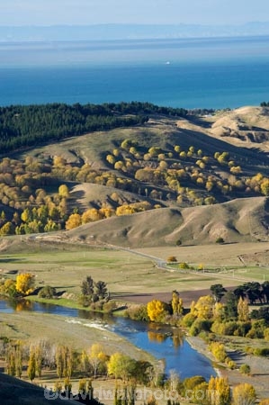agricultural;agriculture;autuminal;autumn;autumn-colour;autumn-colours;autumnal;color;colors;colour;colours;country;countryside;deciduous;fall;farm;farming;farmland;farms;field;fields;Hawke-Bay;Hawkes-Bay;hill;hills;N.I.;N.Z.;New-Zealand;NI;North-Island;NZ;poplar;poplar-tree;poplar-trees;poplars;rural;season;seasonal;seasons;Te-Mata-Peak;tree;trees;Tukituki-River;Tukituki-Valley;willow;willow-tree;willow-trees;willows