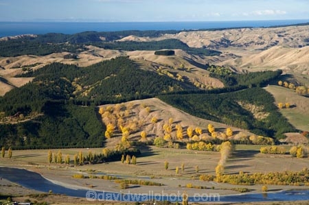 agricultural;agriculture;autuminal;autumn;autumn-colour;autumn-colours;autumnal;color;colors;colour;colours;country;countryside;deciduous;fall;farm;farming;farmland;farms;field;fields;Hawke-Bay;Hawkes-Bay;hill;hills;N.I.;N.Z.;New-Zealand;NI;North-Island;NZ;poplar;poplar-tree;poplar-trees;poplars;rural;season;seasonal;seasons;Te-Mata-Peak;tree;trees;Tukituki-River;Tukituki-Valley;willow;willow-tree;willow-trees;willows