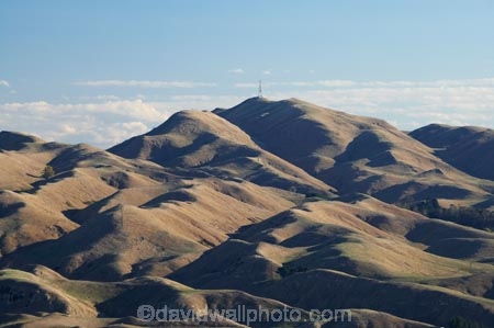 agricultural;agriculture;country;countryside;farm;farming;farmland;farms;field;fields;Hawkes-Bay;hill;hills;Kohinurakau-Range;meadow;meadows;Mount-Erin;Mt-Erin;Mt.-Erin;N.I.;N.Z.;New-Zealand;NI;North-Island;NZ;paddock;paddocks;pasture;pastures;rural;Te-Mata-Peak