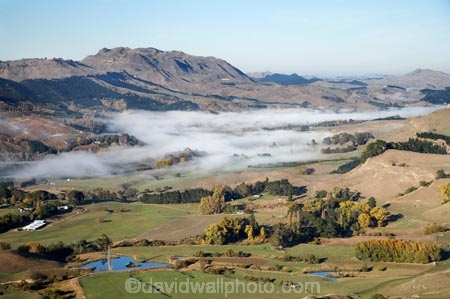 agricultural;agriculture;autuminal;autumn;autumn-colour;autumn-colours;autumnal;color;colors;colour;colours;country;countryside;deciduous;fall;farm;farming;farmland;farms;field;fields;fog;foggy;fogs;Hawkes-Bay;meadow;meadows;mist;mists;misty;N.I.;N.Z.;New-Zealand;NI;North-Island;NZ;paddock;paddocks;pasture;pastures;rural;season;seasonal;seasons;Te-Mata-Peak;tree;trees;Tukituki-River-Valley;view;views