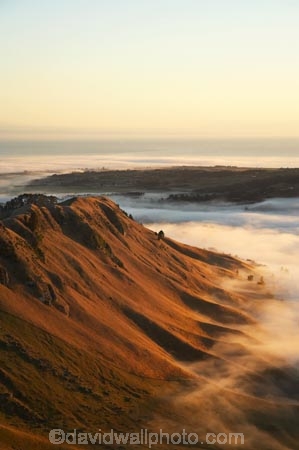 break-of-day;dawn;dawning;daybreak;first-light;fog;foggy;fogs;Hawke-Bay;Hawkes-Bay;mist;mists;misty;morning;N.I.;N.Z.;New-Zealand;NI;North-Island;NZ;sunrise;sunrises;sunup;Te-Mata-Peak;view;views