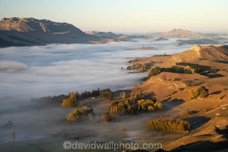 agricultural;agriculture;break-of-day;country;countryside;dawn;dawning;daybreak;farm;farming;farmland;farms;field;fields;first-light;fog;foggy;fogs;Hawkes-Bay;meadow;meadows;mist;mists;misty;morning;N.I.;N.Z.;New-Zealand;NI;North-Island;NZ;paddock;paddocks;pasture;pastures;rural;Te-Mata-Peak;Tukituki-River-Valley;view;views