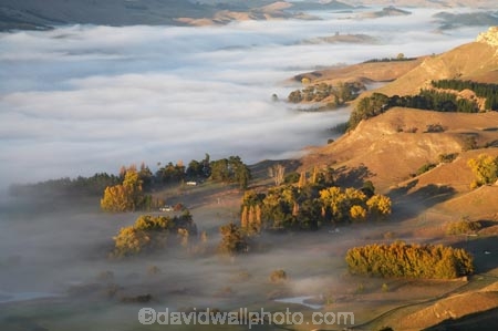 agricultural;agriculture;break-of-day;country;countryside;dawn;dawning;daybreak;farm;farming;farmland;farms;field;fields;first-light;fog;foggy;fogs;Hawkes-Bay;meadow;meadows;mist;mists;misty;morning;N.I.;N.Z.;New-Zealand;NI;North-Island;NZ;paddock;paddocks;pasture;pastures;rural;Te-Mata-Peak;Tukituki-River-Valley;view;views