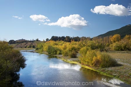 autuminal;autumn;autumn-colour;autumn-colours;autumnal;color;colors;colour;colours;deciduous;fall;Hawkes-Bay;N.I.;N.Z.;New-Zealand;NI;North-Island;NZ;river;rivers;season;seasonal;seasons;tree;trees;Tukituki-River;Tukituki-Valley
