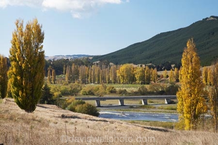 agricultural;agriculture;autuminal;autumn;autumn-colour;autumn-colours;autumnal;bridge;bridges;color;colors;colour;colours;country;countryside;deciduous;fall;farm;farming;farmland;farms;field;fields;Hawkes-Bay;meadow;meadows;N.I.;N.Z.;New-Zealand;NI;North-Island;NZ;paddock;paddocks;pasture;pastures;poplar;poplar-tree;poplar-trees;poplars;river;rivers;rural;season;seasonal;seasons;tree;trees;Tukituki-River;Tukituki-Valley