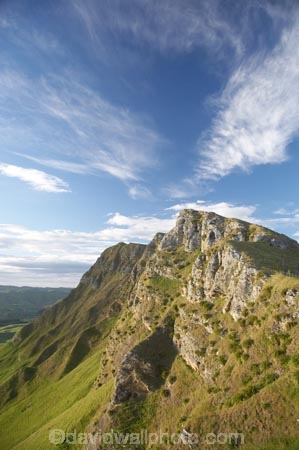 Hawkes-Bay;Hawkes-Bay;N.I.;N.Z.;New-Zealand;NI;North-Is;North-Is.;North-Island;NZ;Te-Mata-Peak;Te-Mata-Pk