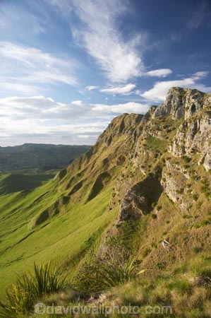 Hawkes-Bay;Hawkes-Bay;N.I.;N.Z.;New-Zealand;NI;North-Is;North-Is.;North-Island;NZ;season;seasonal;seasons;spring;springtime;Te-Mata-Peak;Te-Mata-Pk;Tukituki-River-Valley