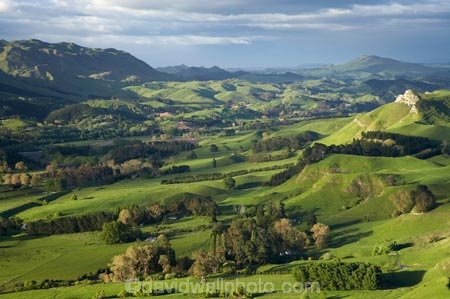 agricultural;agriculture;country;countryside;farm;farming;farmland;farms;field;fields;grass;green;Hawkes-Bay;Hawkes-Bay;Kohinurakau-Ra;Kohinurakau-Range;lush;meadow;meadows;N.I.;N.Z.;New-Zealand;NI;North-Is;North-Is.;North-Island;NZ;paddock;paddocks;pasture;pastures;rural;season;seasonal;seasons;spring;springtime;Tukituki-River-Valley;verdant