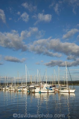 boat;boats;calm;calmness;coast;coastal;coastline;coastlines;coasts;fishing-boat;fishing-boats;harbor;harbors;harbour;harbours;Hawkes-Bay;Hawkes-Bay;hull;hulls;Inner-Harbour;jetties;jetty;launch;launches;marina;marinas;mast;masts;N.I.;N.Z.;Napier;New-Zealand;NI;North-Is;North-Is.;North-Island;NZ;ocean;oceans;peaceful;peacefulness;port;ports;reflection;reflections;sail;sailing;sea;shore;shoreline;shorelines;shores;still;stillness;tranquil;tranquility;waterside;West-Quay;yacht;yachts