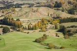 agricultural;agriculture;autuminal;autumn;autumn-colour;autumn-colours;autumnal;color;colors;colour;colours;country;countryside;deciduous;Esk-Valley;fall;farm;farming;farmland;farms;field;fields;Hawkes-Bay;leaf;leaves;meadow;meadows;N.I.;N.Z.;near-Napier;New-Zealand;NI;North-Island;NZ;paddock;paddocks;pasture;pastures;rural;season;seasonal;seasons;tree;trees