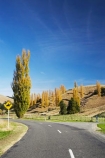agricultural;agriculture;autuminal;autumn;autumn-colour;autumn-colours;autumnal;Bay-View;bend;bends;centre-line;centre-lines;centre_line;centre_lines;centreline;centrelines;color;colors;colour;colours;corner;corners;country;countryside;deciduous;driving;fall;farm;farming;farmland;farms;field;fields;Hawkes-Bay;highway;highways;Horse-Sign;Horse-Signs;meadow;meadows;N.I.;N.Z.;Napier;New-Zealand;NI;North-Island;NZ;open-road;open-roads;paddock;paddocks;pasture;pastures;poplar;poplar-tree;poplar-trees;poplars;road;road-trip;roads;rural;season;seasonal;seasons;transport;transportation;travel;traveling;travelling;tree;trees;trip