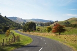 agricultural;agriculture;autuminal;autumn;autumn-colour;autumn-colours;autumnal;Bay-View;bend;bends;centre-line;centre-lines;centre_line;centre_lines;centreline;centrelines;color;colors;colour;colours;corner;corners;country;countryside;deciduous;driving;fall;farm;farming;farmland;farms;field;fields;Hawkes-Bay;highway;highways;meadow;meadows;N.I.;N.Z.;Napier;New-Zealand;NI;North-Island;NZ;open-road;open-roads;paddock;paddocks;pasture;pastures;road;road-trip;roads;rural;season;seasonal;seasons;transport;transportation;travel;traveling;travelling;tree;trees;trip