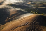 agricultural;agriculture;break-of-day;country;countryside;dawn;dawning;daybreak;farm;farming;farmland;farms;field;fields;first-light;fog;foggy;fogs;Hawkes-Bay;meadow;meadows;mist;mists;misty;morning;N.I.;N.Z.;New-Zealand;NI;North-Island;NZ;paddock;paddocks;pasture;pastures;rural;Te-Mata-Peak;view;views
