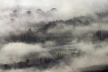 agricultural;agriculture;break-of-day;country;countryside;dawn;dawning;daybreak;farm;farming;farmland;farms;field;fields;first-light;fog;foggy;fogs;Hawkes-Bay;meadow;meadows;mist;mists;misty;monochromatic;monochrome;morning;N.I.;N.Z.;New-Zealand;NI;North-Island;NZ;paddock;paddocks;pasture;pastures;rural;Te-Mata-Peak;view;views;weather