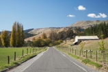 agricultural;agriculture;autuminal;autumn;autumn-colour;autumn-colours;autumnal;color;colors;colour;colours;country;country-road;country-roads;countryside;deciduous;fall;farm;Farm-Building;Farm-Buildings;Farm-Shed;Farm-Sheds;farming;farmland;farms;fence;fence-line;fence-lines;fence_line;fence_lines;fenceline;fencelines;fences;field;fields;Hawkes-Bay;meadow;meadows;N.I.;N.Z.;New-Zealand;NI;North-Island;NZ;paddock;paddocks;pasture;pastures;poplar;poplar-tree;poplar-trees;poplars;road;roads;rural;season;seasonal;seasons;Shearing-Shed;Shearing-Sheds;Sheep-Shed;Sheep-Sheds;straight;tree;trees;Tukituki-Valley;Wool-Shed;Wool-Sheds