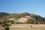 agricultural;agriculture;autuminal;autumn;autumn-colour;autumn-colours;autumnal;color;colors;colour;colours;country;countryside;deciduous;fall;farm;farming;farmland;farms;field;fields;Hawkes-Bay;meadow;meadows;N.I.;N.Z.;New-Zealand;NI;North-Island;NZ;paddock;paddocks;pasture;pastures;rural;season;seasonal;seasons;tree;trees;Tukituki-Valley