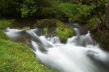 brook;brooks;cascade;cascades;creek;creeks;falls;flow;green;Hawkes-Bay;Hawkes-Bay;lush;Maraetotara-Creek;Maraetotara-River;Maraetotara-Stream;Maraetotara-Valley;N.I.;N.Z.;natural;nature;New-Zealand;NI;North-Is;North-Is.;North-Island;NZ;scene;scenic;stream;streams;water;water-fall;water-falls;waterfall;waterfalls;wet
