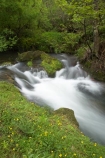 brook;brooks;cascade;cascades;creek;creeks;falls;flow;green;Hawkes-Bay;Hawkes-Bay;lush;Maraetotara-Creek;Maraetotara-River;Maraetotara-Stream;Maraetotara-Valley;N.I.;N.Z.;natural;nature;New-Zealand;NI;North-Is;North-Is.;North-Island;NZ;scene;scenic;stream;streams;water;water-fall;water-falls;waterfall;waterfalls;wet
