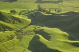 agricultural;agriculture;country;countryside;farm;farming;farmland;farms;field;fields;grass;green;Hawkes-Bay;Hawkes-Bay;lush;meadow;meadows;N.I.;N.Z.;New-Zealand;NI;North-Is;North-Is.;North-Island;NZ;paddock;paddocks;pasture;pastures;rural;season;seasonal;seasons;spring;springtime;Tukituki-River-Valley;verdant
