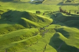 agricultural;agriculture;country;countryside;farm;farming;farmland;farms;field;fields;grass;green;Hawkes-Bay;Hawkes-Bay;lush;meadow;meadows;N.I.;N.Z.;New-Zealand;NI;North-Is;North-Is.;North-Island;NZ;paddock;paddocks;pasture;pastures;rural;season;seasonal;seasons;spring;springtime;Tukituki-River-Valley;verdant