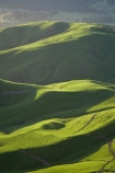 agricultural;agriculture;country;countryside;farm;farming;farmland;farms;field;fields;grass;green;Hawkes-Bay;Hawkes-Bay;lush;meadow;meadows;N.I.;N.Z.;New-Zealand;NI;North-Is;North-Is.;North-Island;NZ;paddock;paddocks;pasture;pastures;rural;season;seasonal;seasons;spring;springtime;Tukituki-River-Valley;verdant