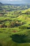 agricultural;agriculture;country;countryside;farm;farming;farmland;farms;field;fields;grass;green;Hawkes-Bay;Hawkes-Bay;Kohinurakau-Ra;Kohinurakau-Range;lush;meadow;meadows;N.I.;N.Z.;New-Zealand;NI;North-Is;North-Is.;North-Island;NZ;paddock;paddocks;pasture;pastures;rural;season;seasonal;seasons;spring;springtime;Tukituki-River-Valley;verdant