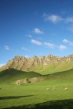 agricultural;agriculture;country;countryside;farm;farming;farmland;farms;field;fields;grass;green;Hawkes-Bay;Hawkes-Bay;livestock;lush;meadow;meadows;N.I.;N.Z.;New-Zealand;NI;North-Is;North-Is.;North-Island;NZ;paddock;paddocks;pasture;pastures;rural;season;seasonal;seasons;sheep;spring;springtime;stock;Te-Mata-Peak;Te-Mata-Pk;Tukituki-River-Valley;verdant